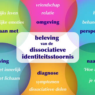 Het project